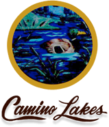 Camino Lakes